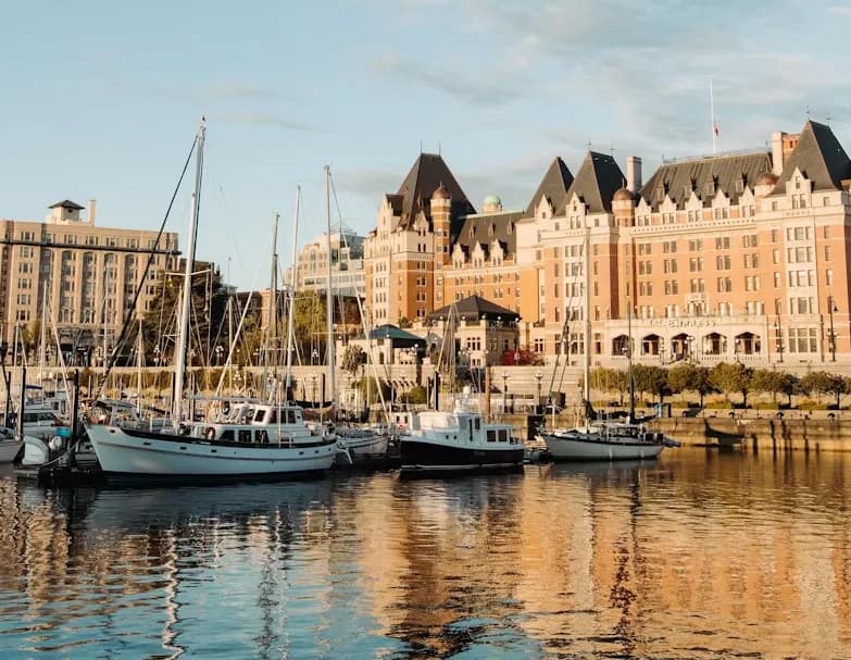 Web design and development for businesses in Victoria