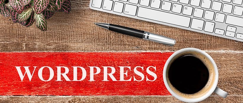 It is virtually impossible to run a successful WordPress website without investing in data security.