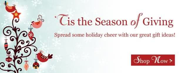 The holiday season is here once again! Are you prepared for earning huge profit? The holiday season is the most profitable time of the year for any online business.