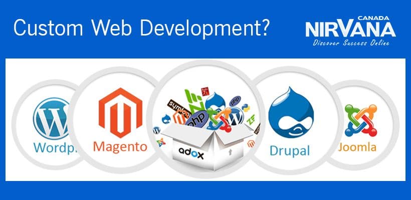 The Internet presents vast marketing potential, so having a professional looking Website that projects your business message to potential consumers is a must have these days.
